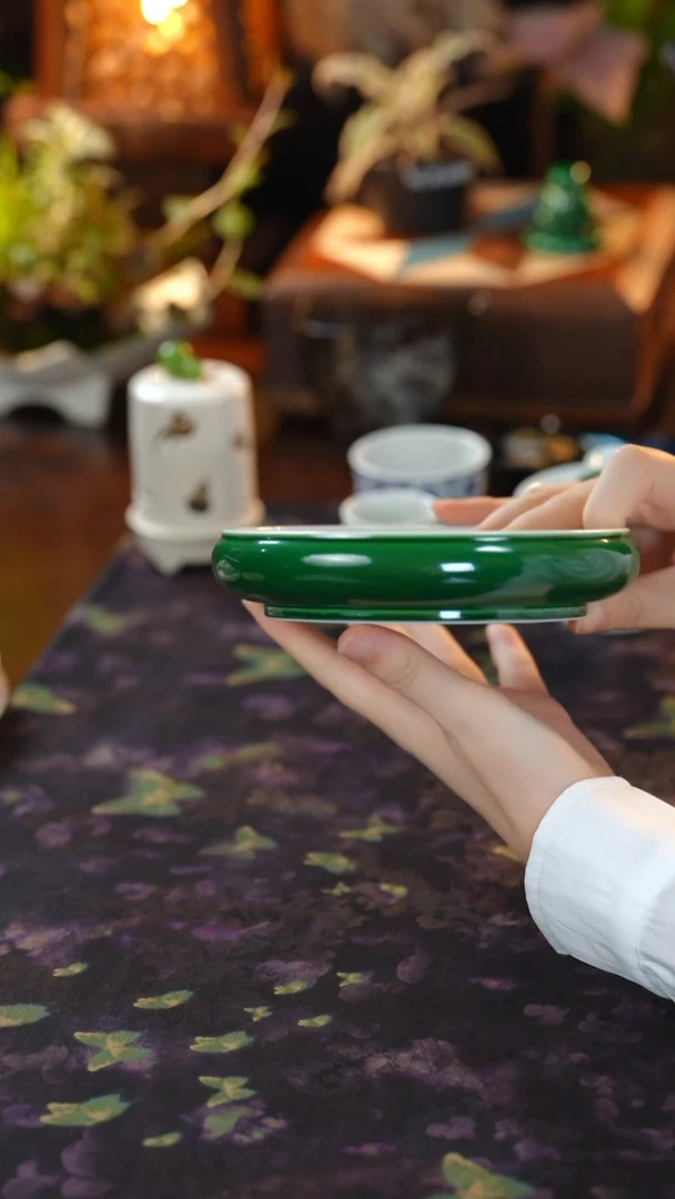 瓷唐里帝王绿 壶承