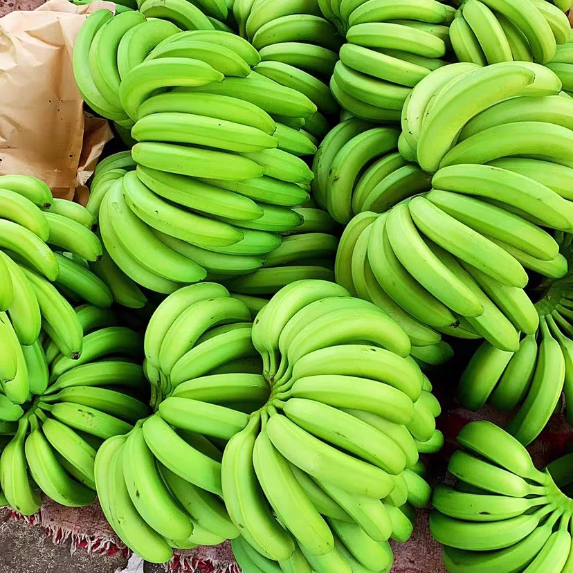 长香蕉桂9直播精选现挑现发下播直接发推荐5斤