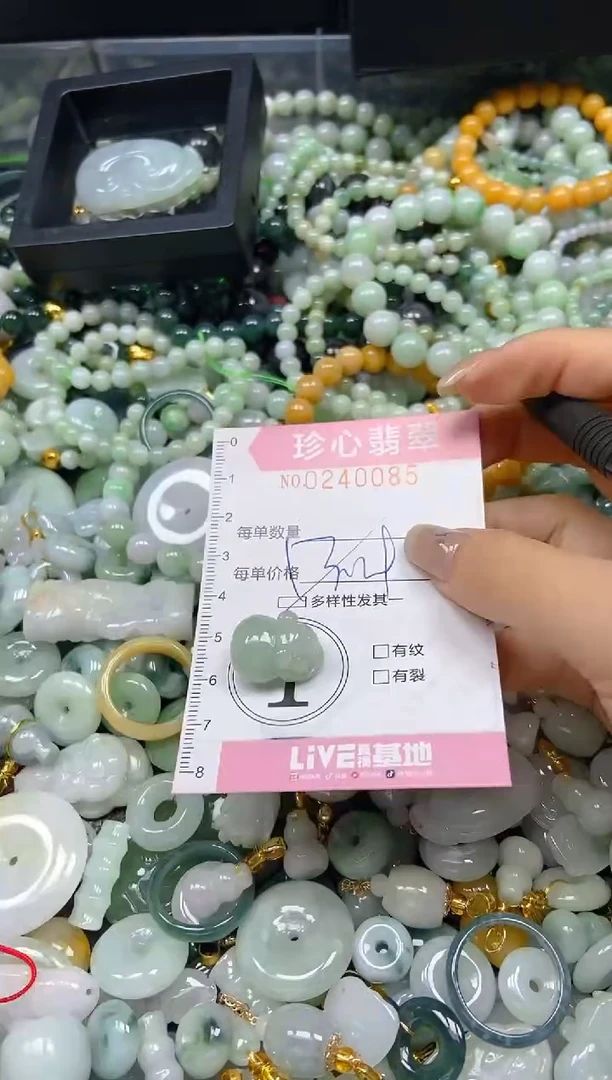 翡翠未镶嵌颈饰闪购0240085多样性发其一