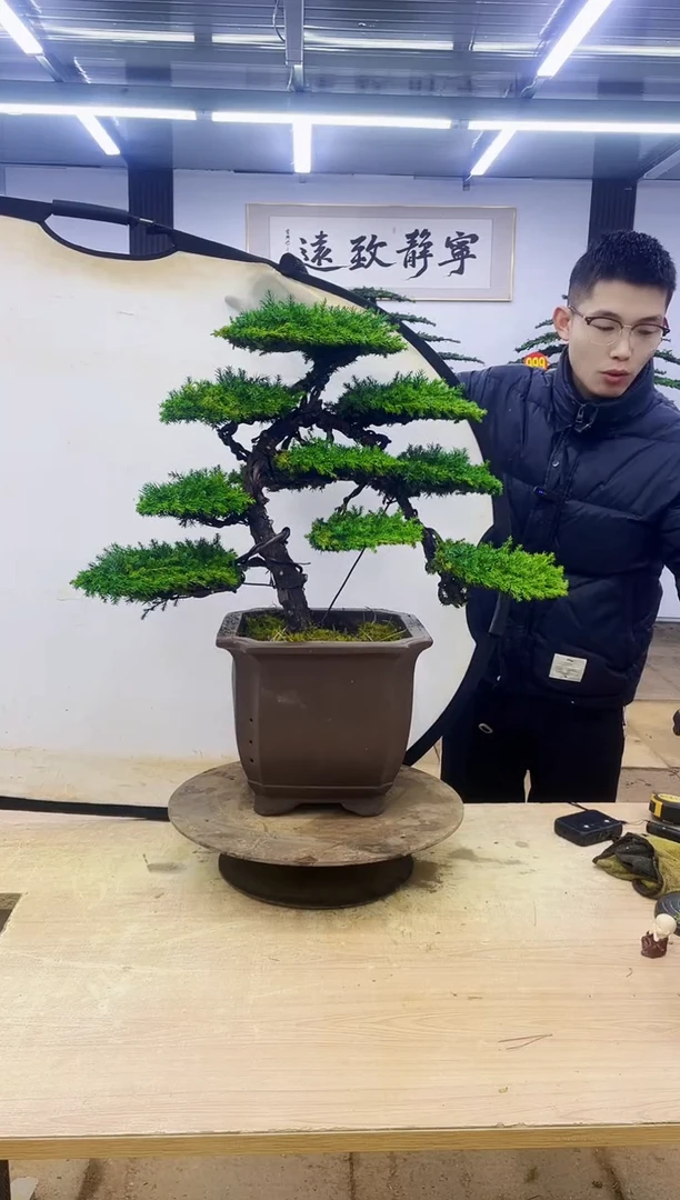 无花朵鱼*飞000000000000000