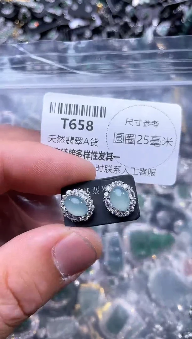 【闪购商品】翡翠颈饰未镶嵌T658耳钉