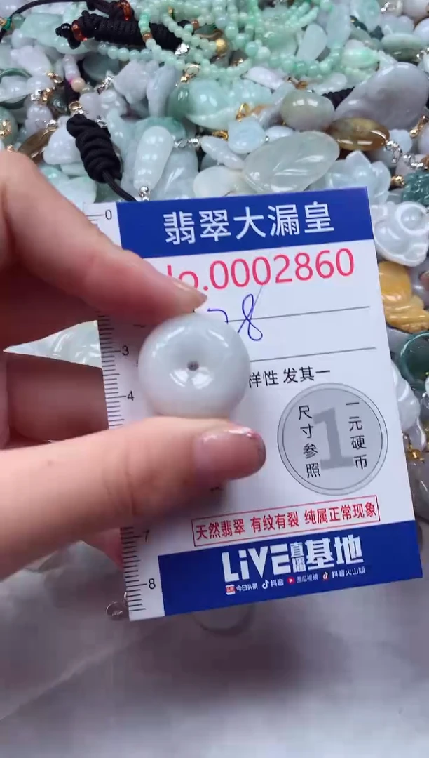 颈饰未镶嵌翡翠2860
