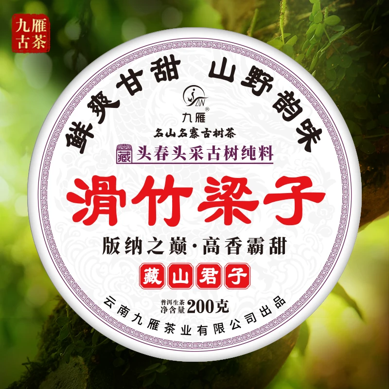 九雁2022年滑竹梁子普洱古树生茶 纯料古树茶200克/饼