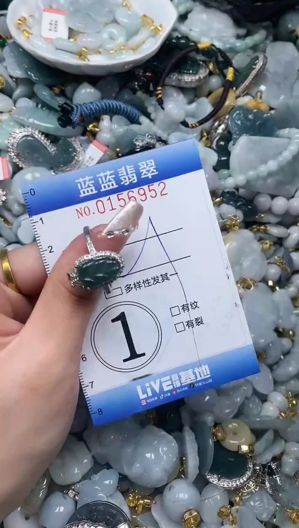 【闪购商品】翡翠颈饰未镶嵌闪购0156952