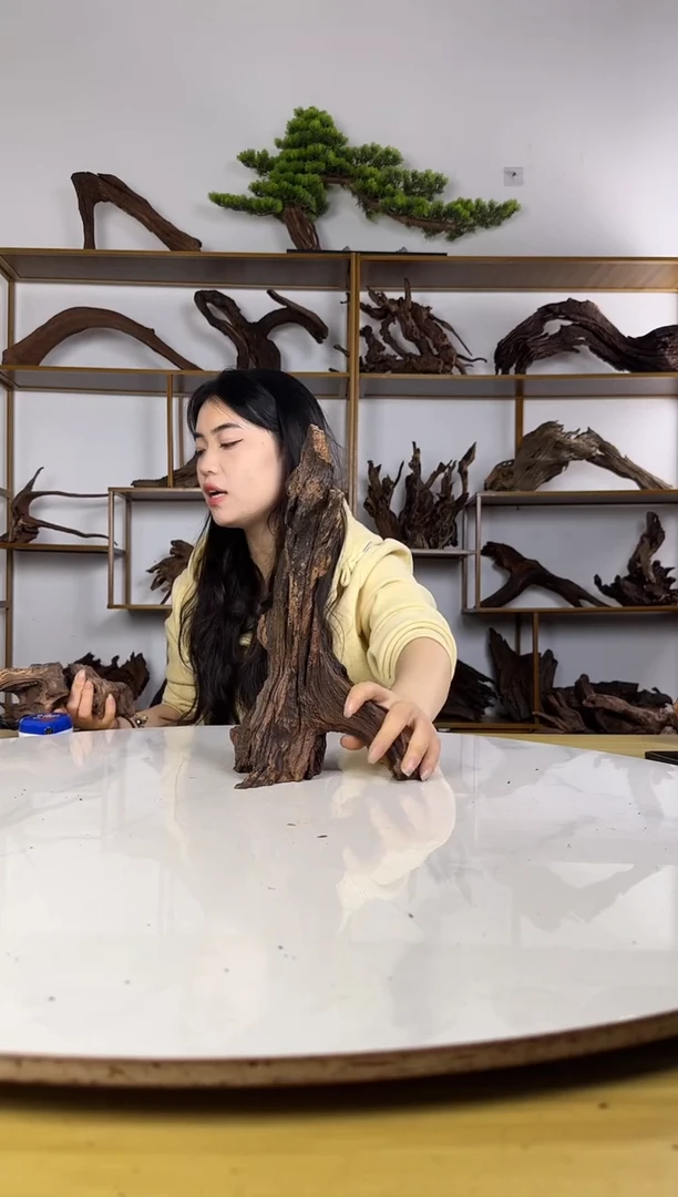 ?****啊拍沉木定向链接编号18