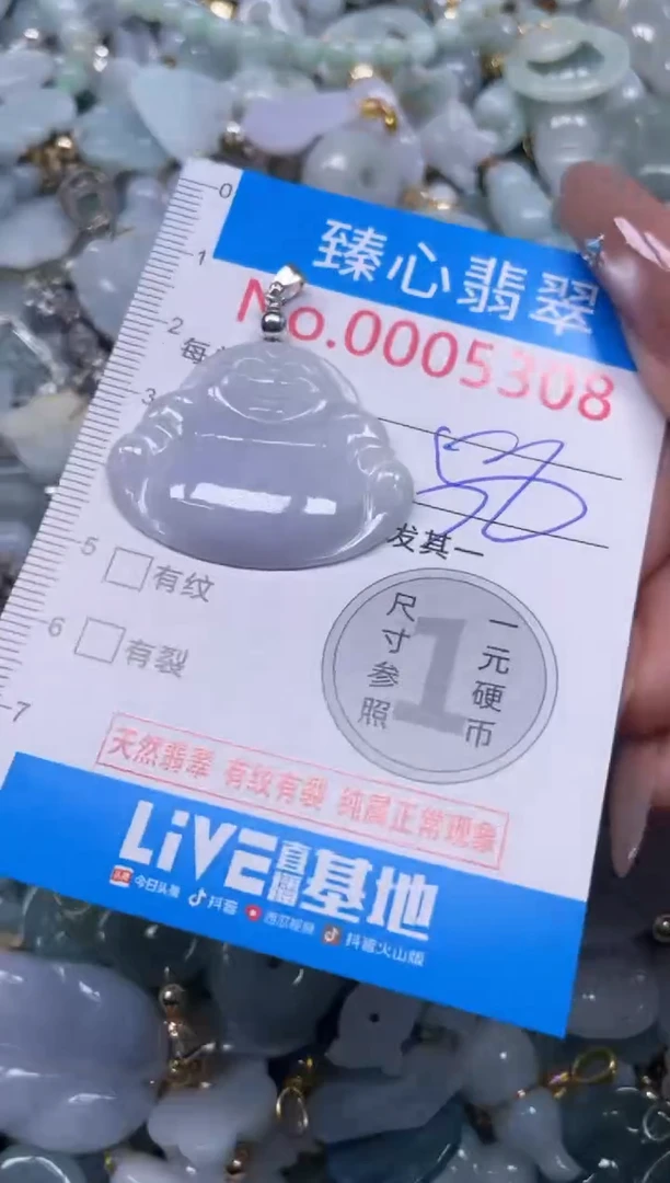 颈饰未镶嵌翡翠5308