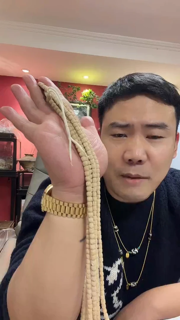 手串柏香籽/百香籽66多样性发一