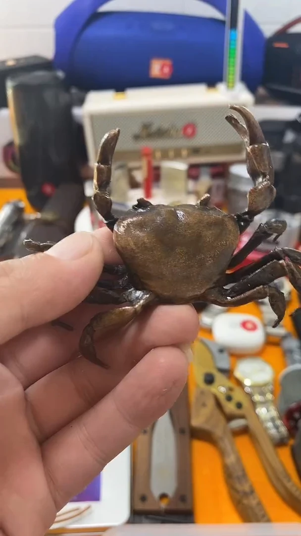 瓷片闪购商品 如图所示