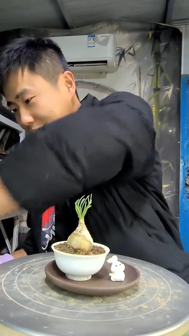 s**r中青园艺一物一拍花102