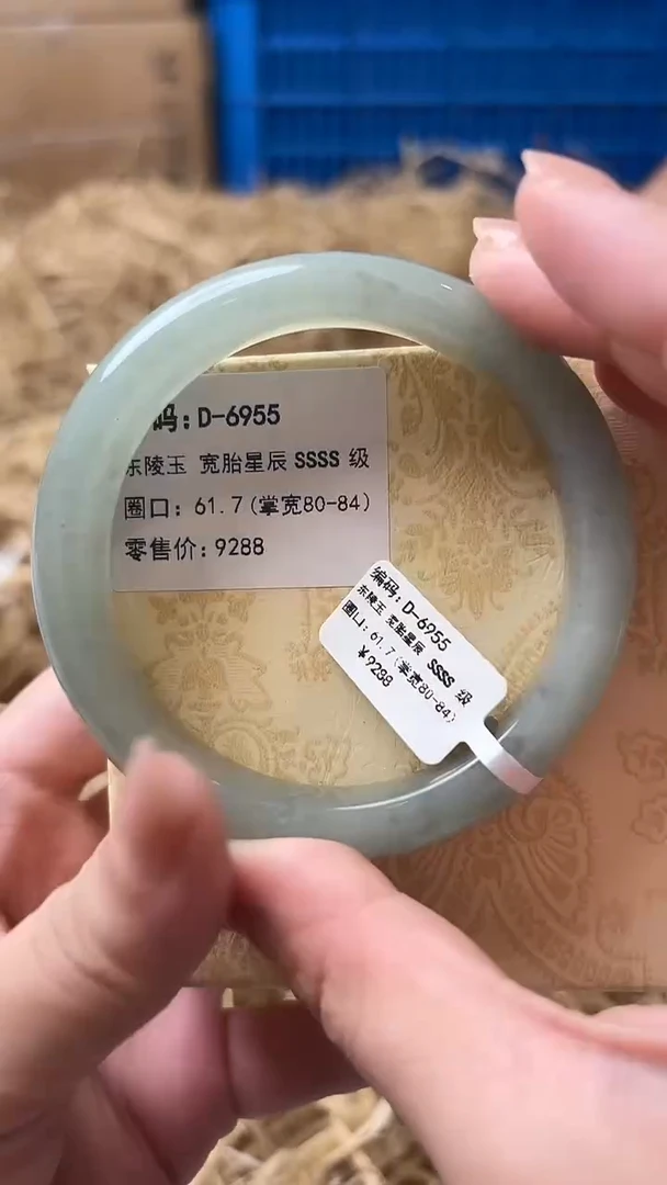 未镶嵌手镯石英质玉D-6955