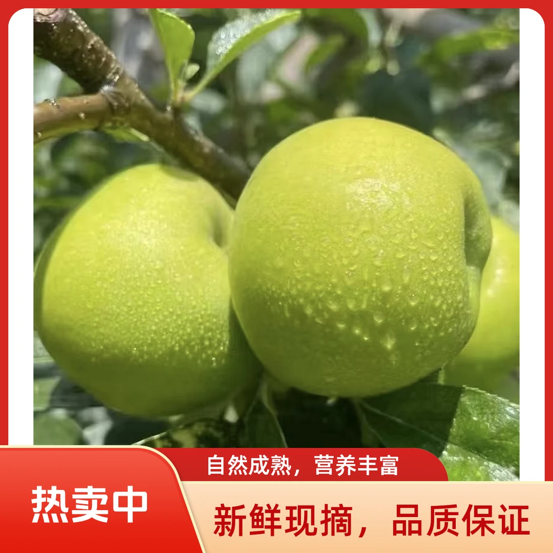 【阿克苏王林苹果脆甜】头茬现摘新鲜当季应季水果纯甜脆爽多汁