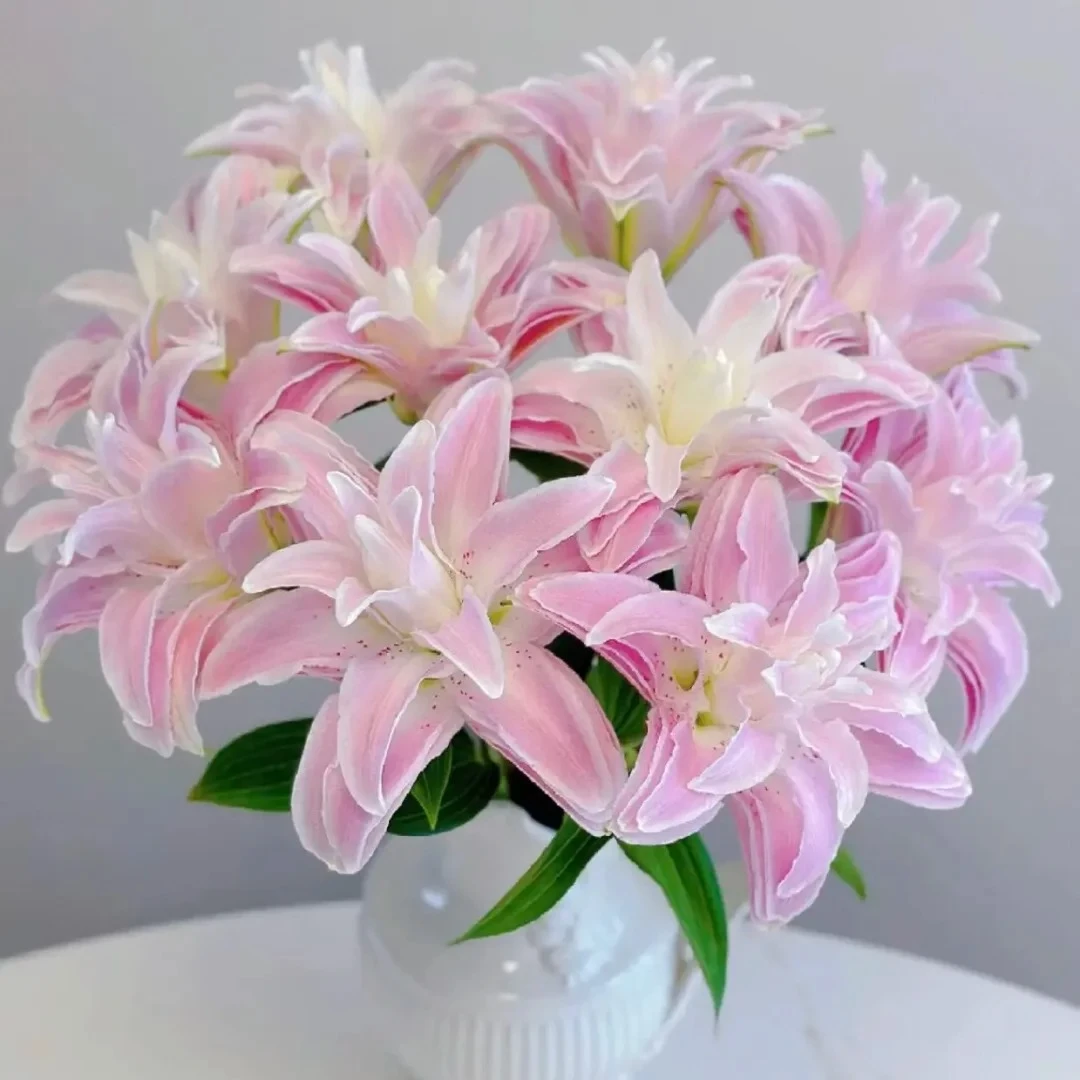 【新疆鲜花次日达】粉色重瓣百合（9个花苞）装-花鲜达家居养花插花生活新疆鲜花两单包邮送货上门今天拍明天到