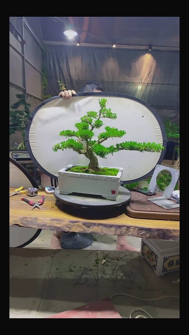 完全开放用****8111111111111