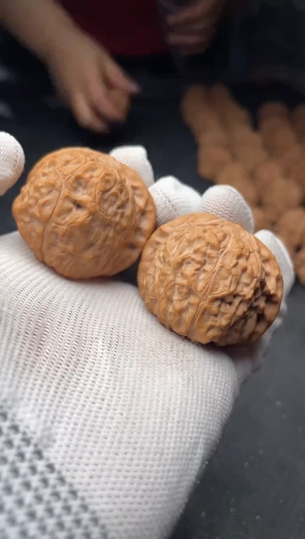 核桃a62  南瓜墩 40尺