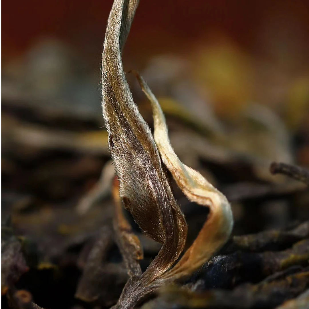 【昔归忙麓正山】临时链接2016年春/古树/普洱茶/生茶/200克散茶