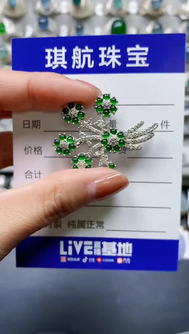 【闪购商品】翡翠颈饰银S925镶嵌0686