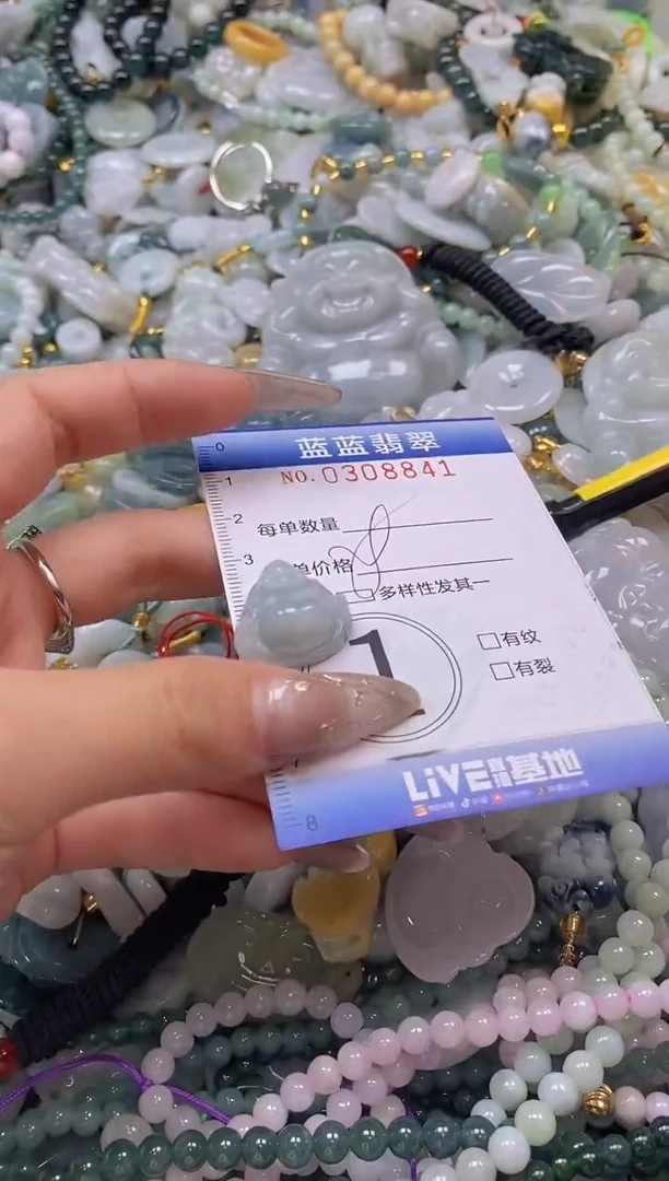 翡翠未镶嵌颈饰闪购0308841多样性发其一