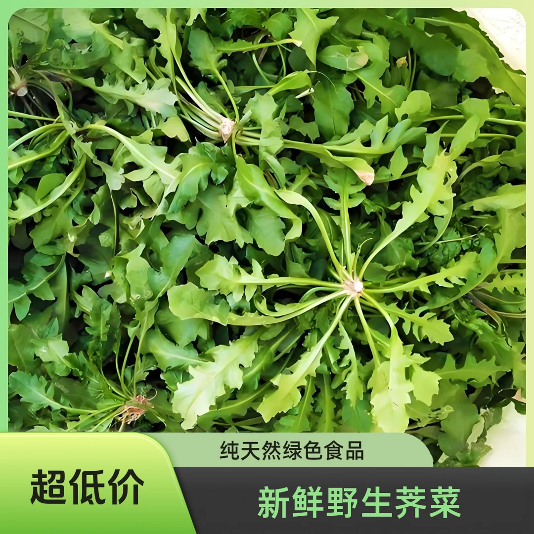 【现挖现发】湖北漏天种植荠菜大叶新鲜农家现摘现发荠荠菜耐寒野菜