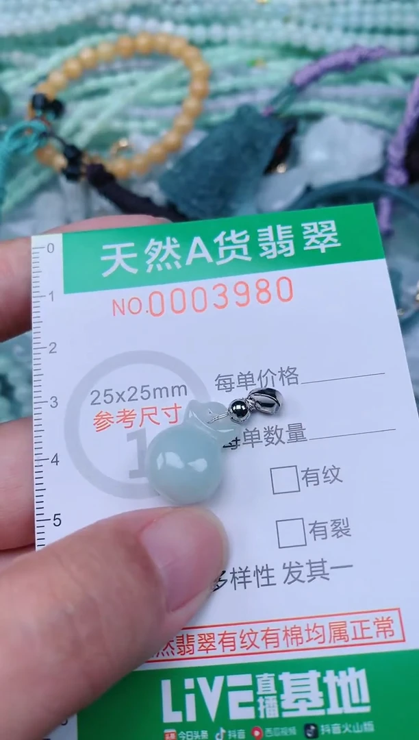 翡翠未镶嵌颈饰.0003980