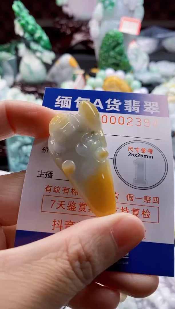 翡翠未镶嵌吊坠(不含链)1