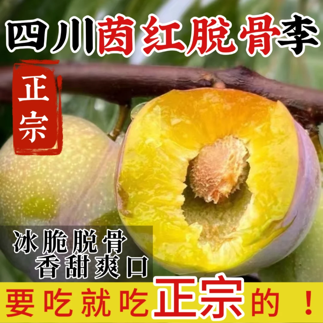【正宗四川半边红-脱骨脆甜李】茵红李-青脆甜李-脱骨李-原产地直发