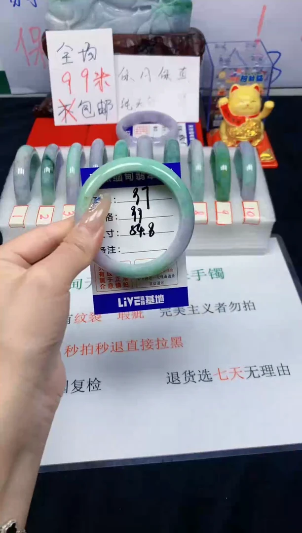 未镶嵌手镯翡翠97