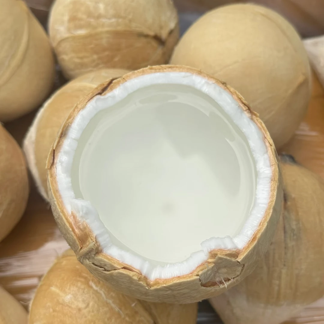 泰国丹嫩沙多核心产区老树奶香椰皇椰清当季新鲜现摘椰子清甜可口