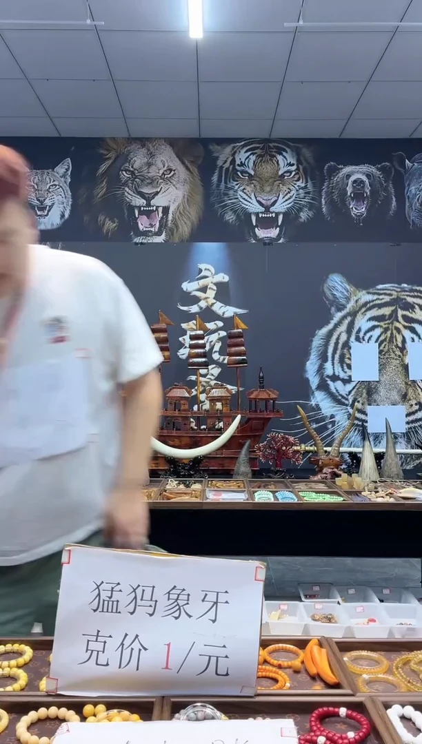 猛犸---------------8