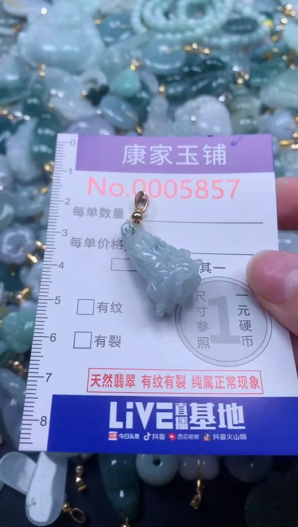 颈饰未镶嵌翡翠5857