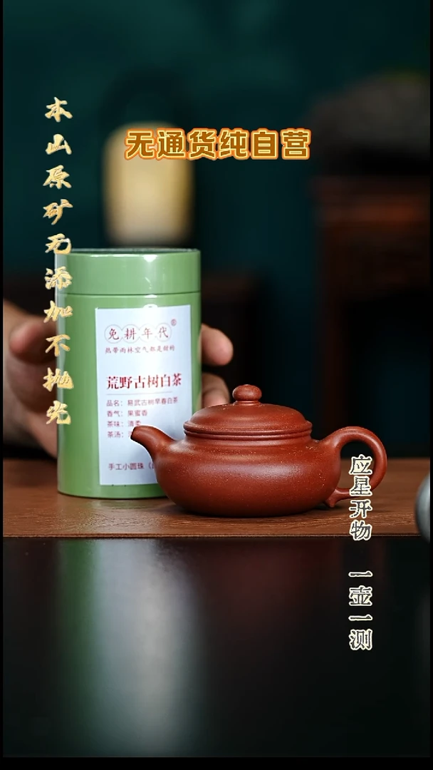 茶壶紫砂红皮龙 仿古 160cc 退货拉黑 一盒龙珠白茶