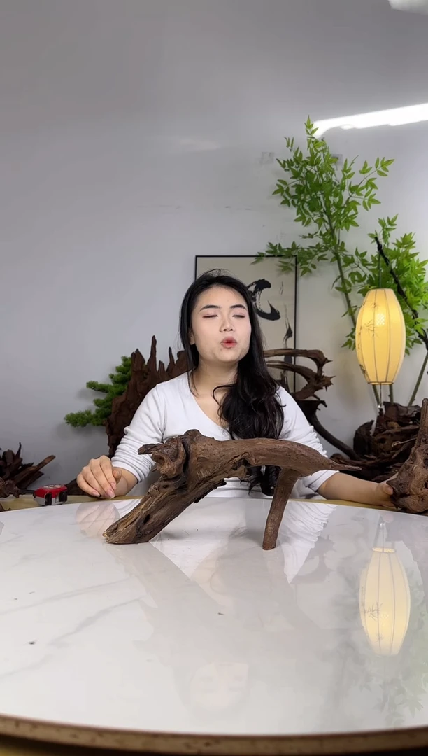 日*明拍沉木定向链接编号3