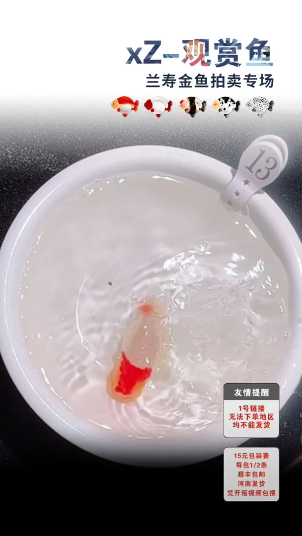 海水鱼包装必拍未拍顺丰到付13号