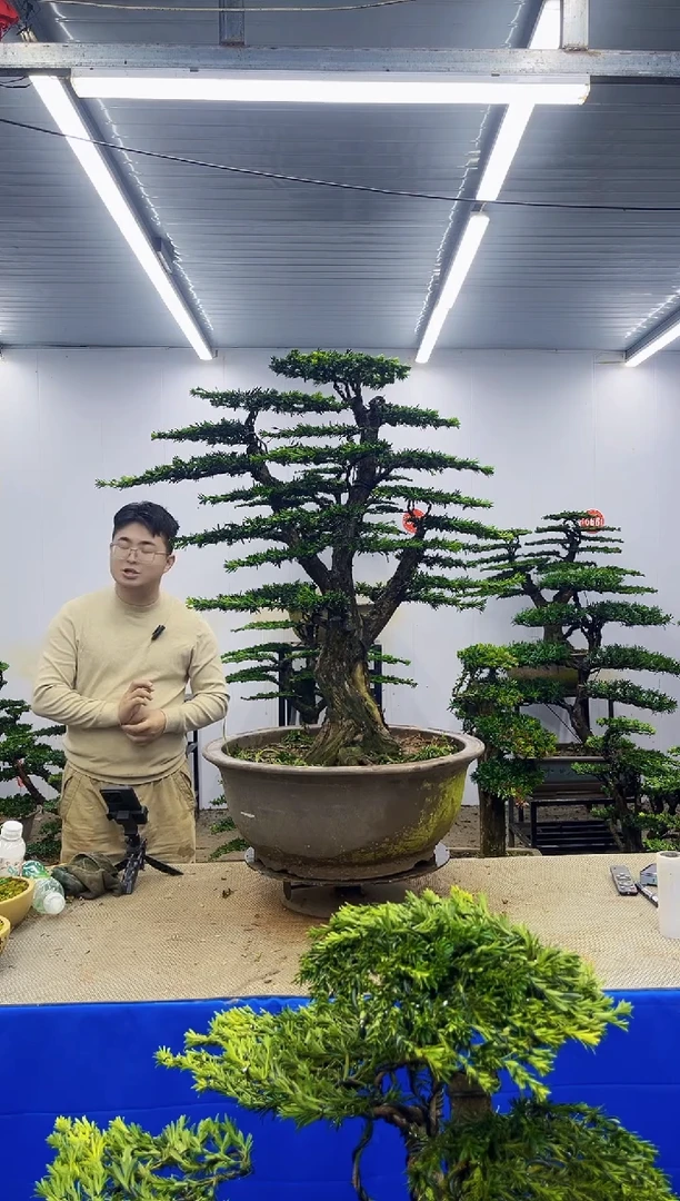 以实际为准通***音一物一拍，所见即所得