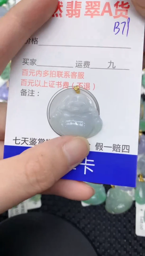 【闪购商品】翡翠颈饰18K金镶嵌111111111