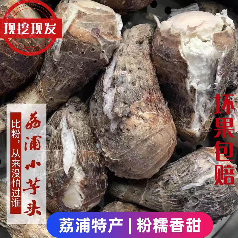 广西正宗荔浦小芋头仔农家香芋粉香软糯当季新鲜蔬菜槟榔芋艿现挖