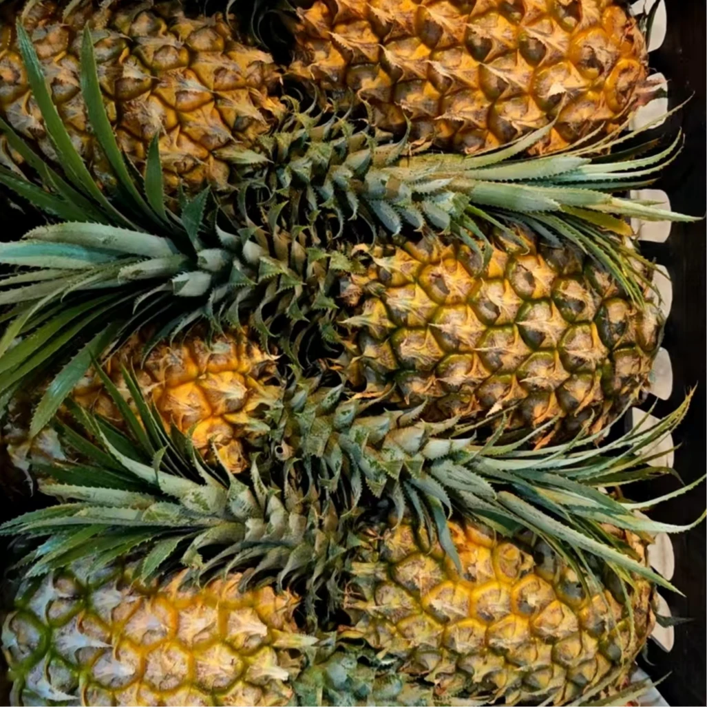 【周谷堆自营】正宗广东香甜菠萝净重7斤装产地直发无需挖刺酸甜多汁肉质细腻（26）