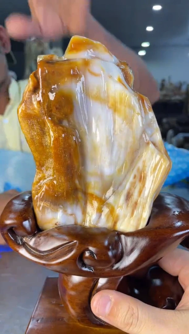 未镶嵌摆件硅化玉5