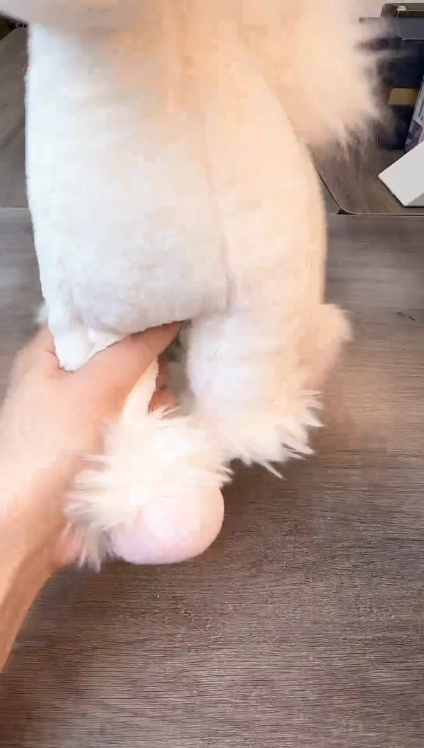 瓷片看小满买正品@@CQ1200