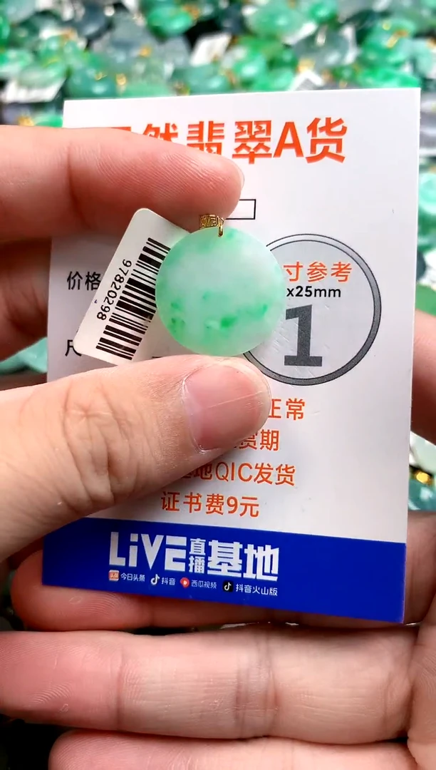 颈饰18K金镶嵌翡翠0617155007