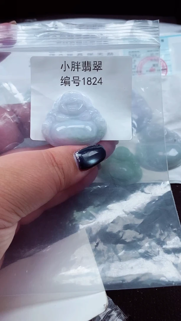 颈饰未镶嵌翡翠缅甸天然A货翡翠1824