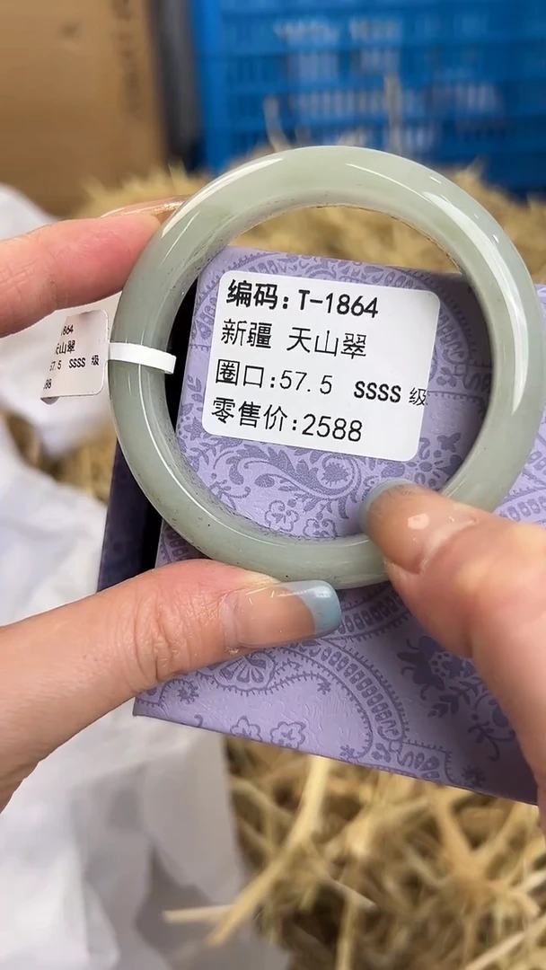 未镶嵌手镯石英质玉T-1864