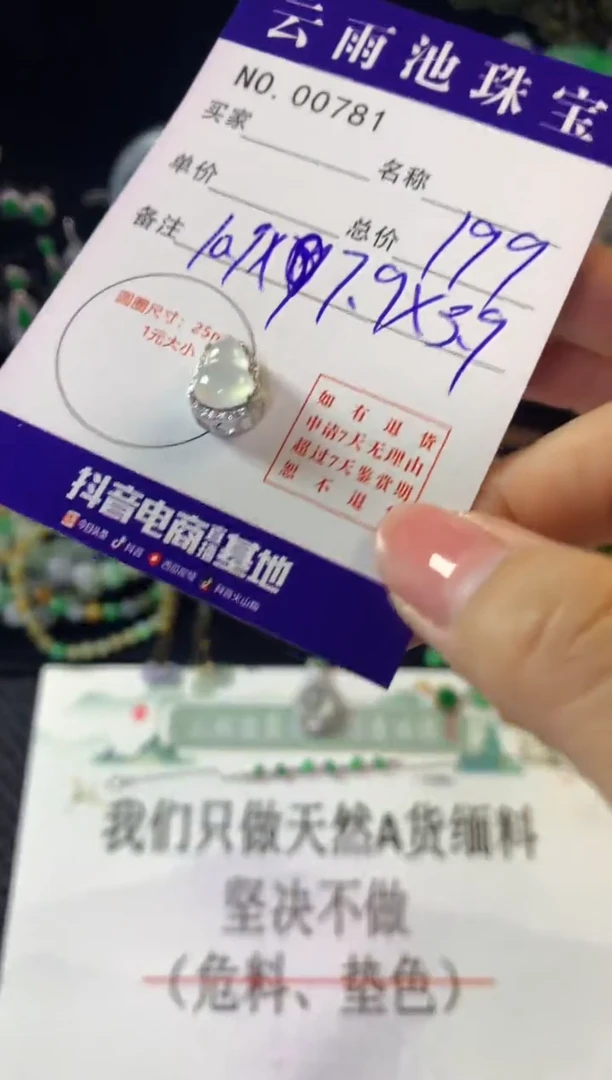 翡翠银S925镶嵌颈饰翡翠