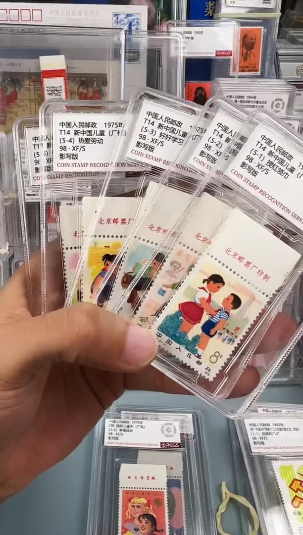 T14儿童上宽边厂名一套