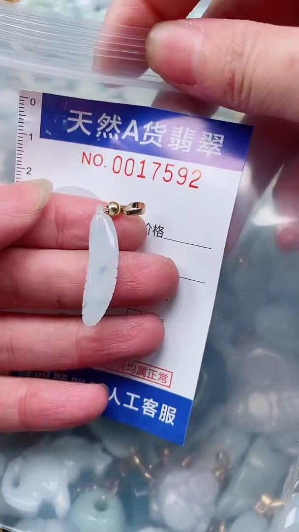 翡翠未镶嵌吊坠(不含链)1