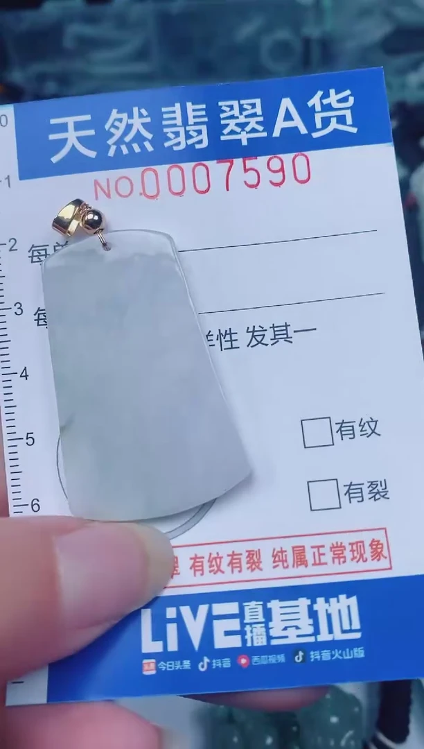 颈饰未镶嵌翡翠00007590