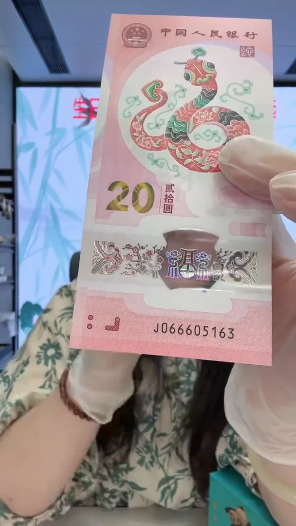 塑料蛇钞066605163