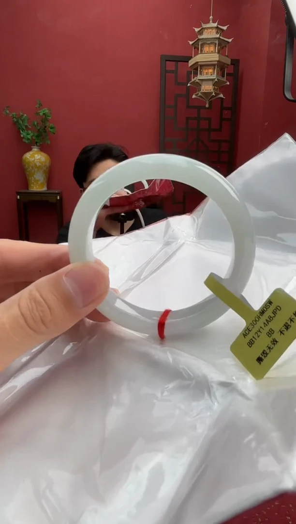 未镶嵌手镯翡翠翡翠手镯1
