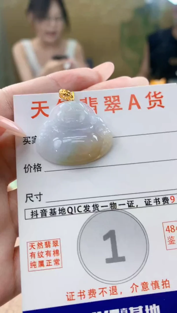 颈饰未镶嵌翡翠天然A货翡翠挂件