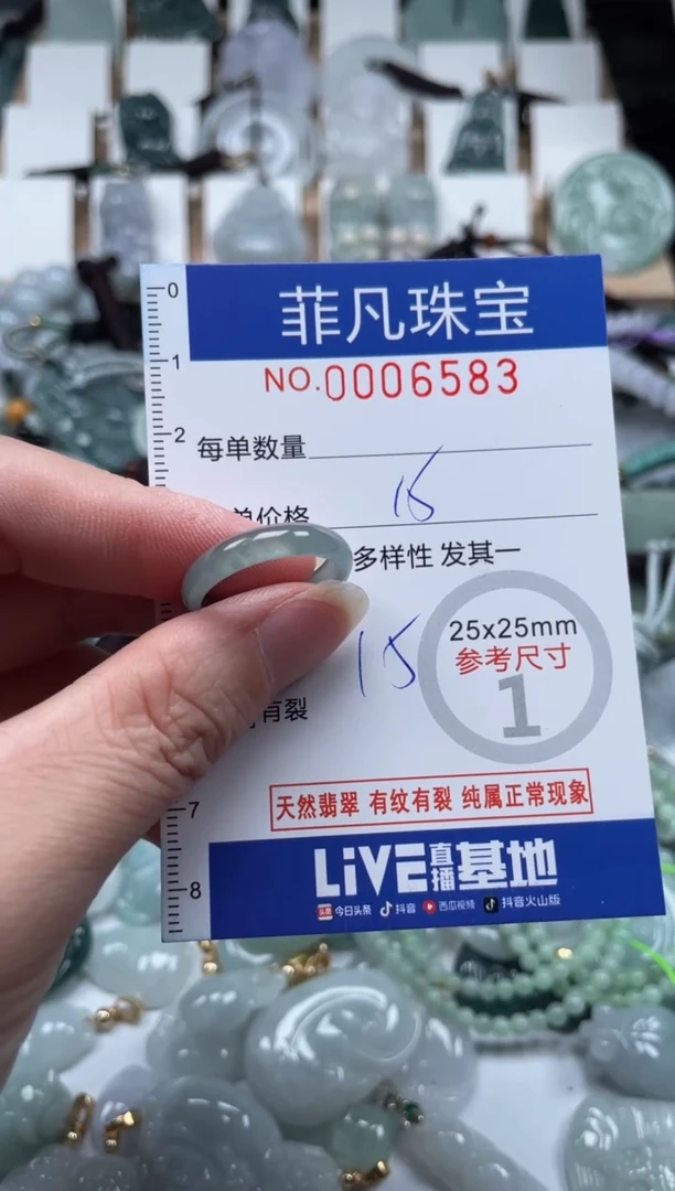 翡翠未镶嵌颈饰00..6583