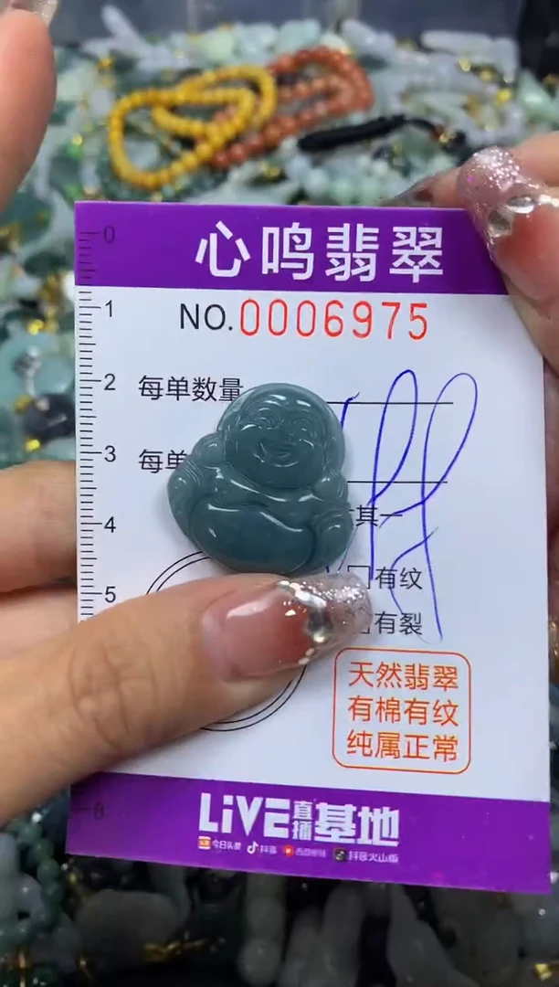 【闪购商品】翡翠颈饰未镶嵌闪购006975